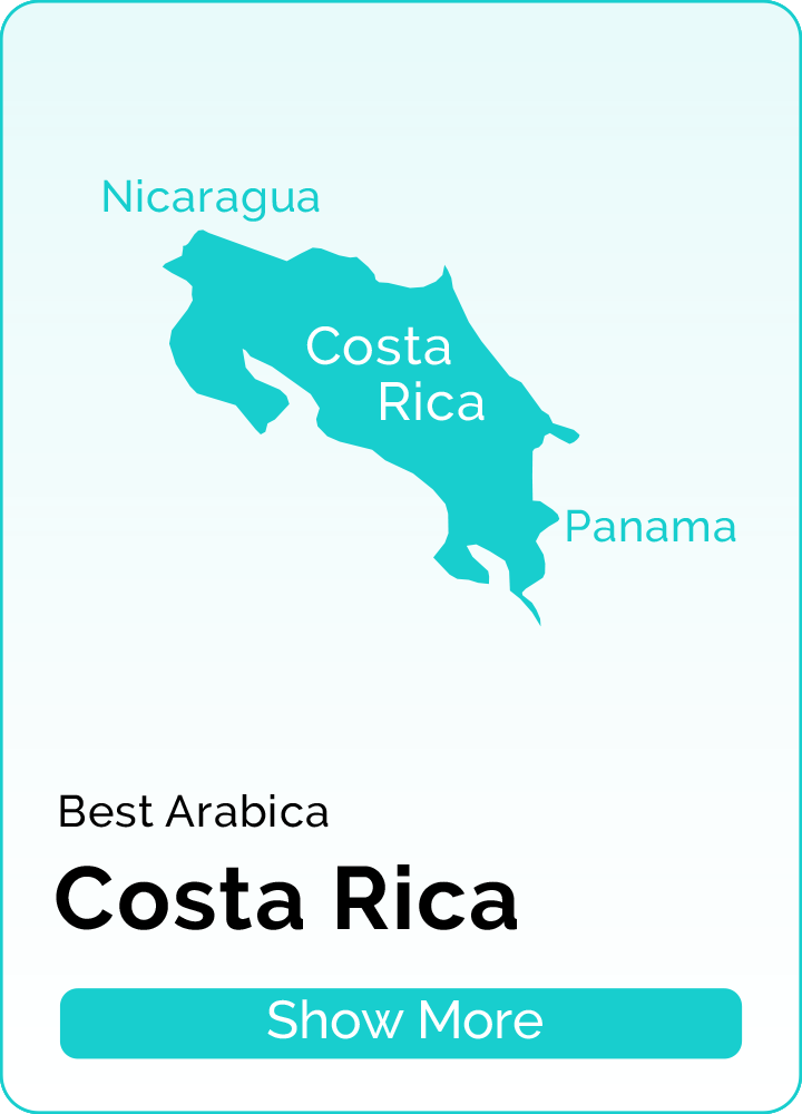 costa rica Bean Friends Forever BeanFF